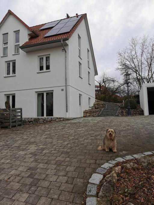 RAuszeit Apartment Nittendorf ภายนอก รูปภาพ